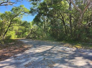 Guava Ter Lot 5, Ocklawaha, FL 32179