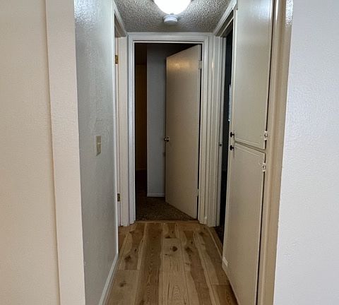 3rd image of 1335 Hemlock St APT 9