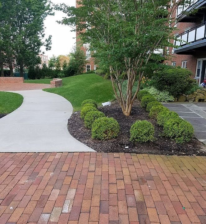1st image of 1666 Bell Blvd #1
