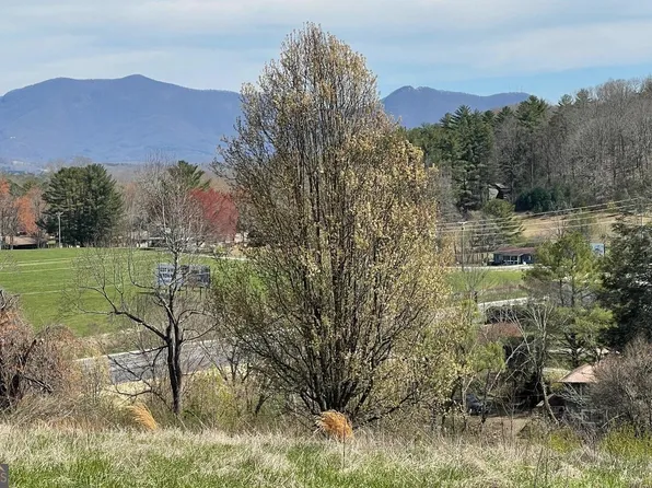 8 Cabin Dr, Hayesville, NC 28904