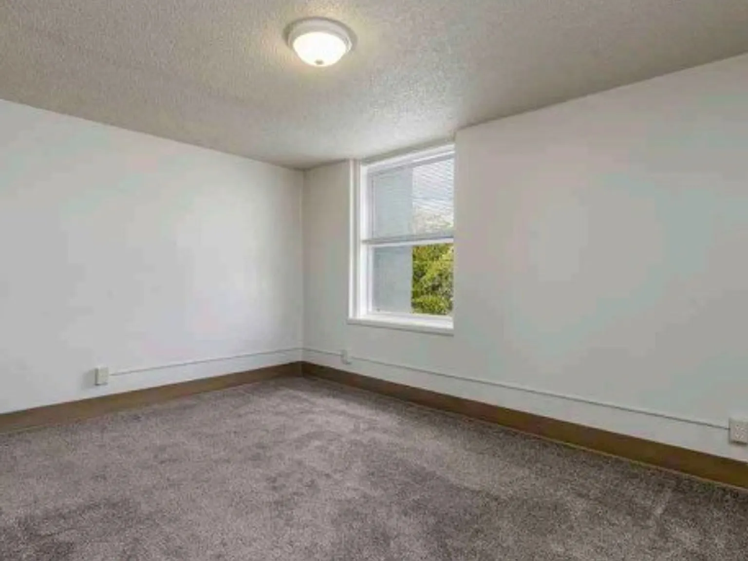 Hillview Terrace — Photo 4