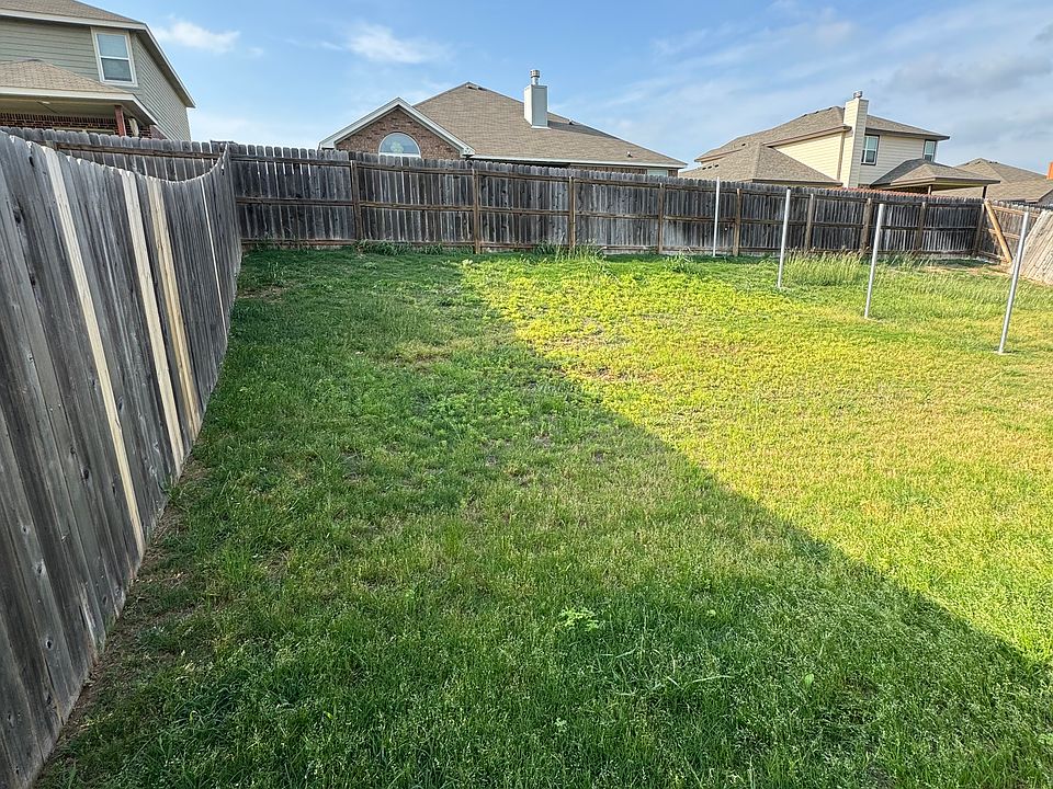 Backyard (fence in process)