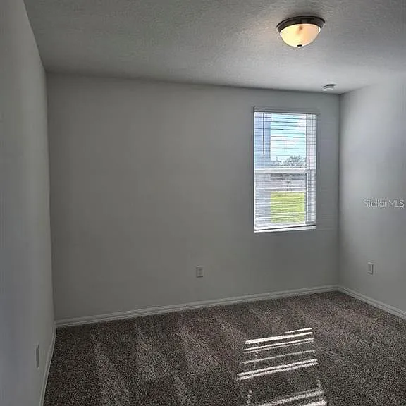 5309 Maddie Dr — Photo 13
