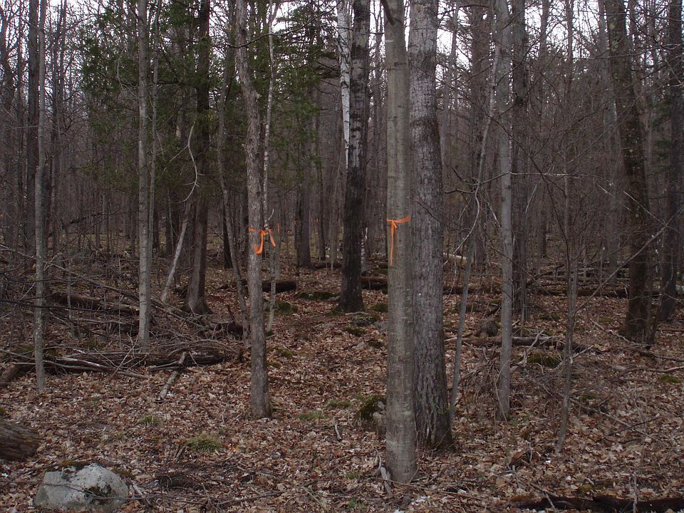 1st image of Bonnieview Road