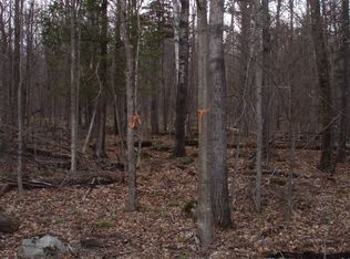 Bonnieview Road, Wilmington, NY 12997