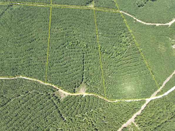 County Road 3230, Colmesneil, TX 75938