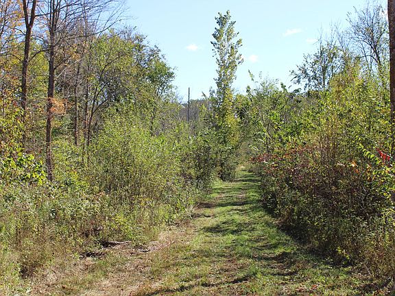 3rd image of Woods Rd
