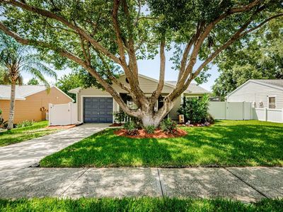 2768 Delaney Ct, Palm Harbor, FL, 34684