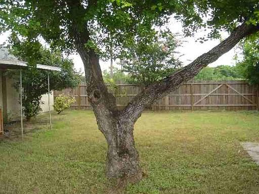 3rd image of 4103 TIMBERHILL DR