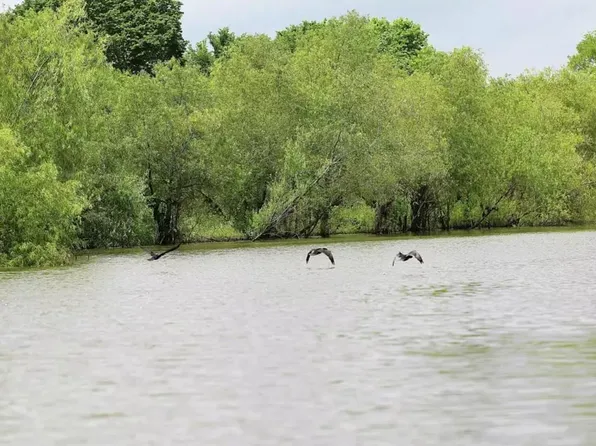 141 W Lakeside Dr, Huntsville, TX 77320