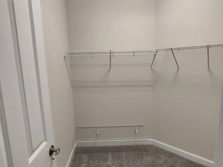 3350 Pampas Dr — Photo 15