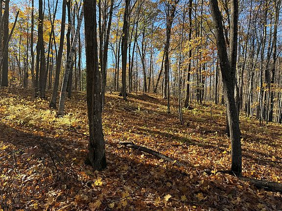 2nd image of XXX County Highway MD