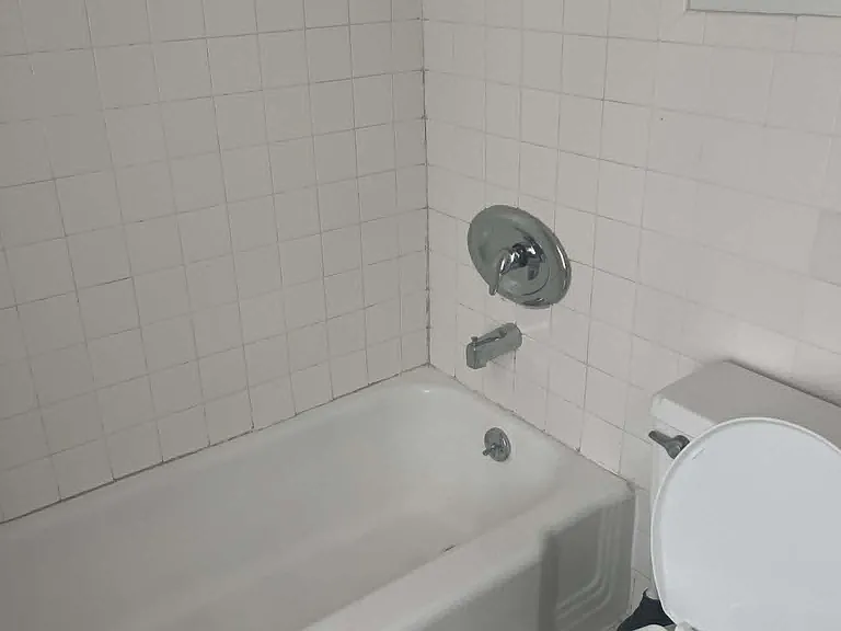 Upstairs Bathtub
