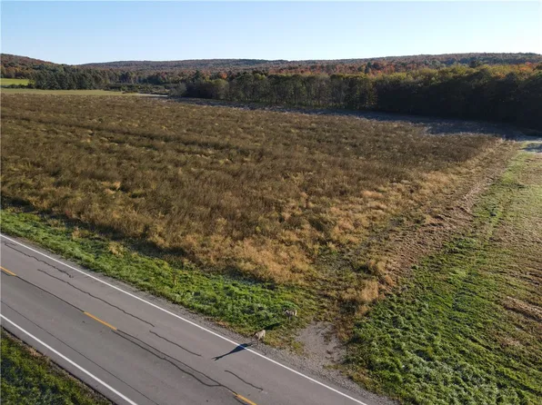 LOT 3 County Road 16 Lot 41, Swain, NY 14884