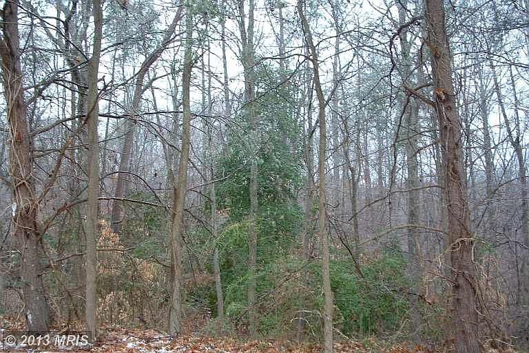 1st image of 181 Brooks Cove Dr