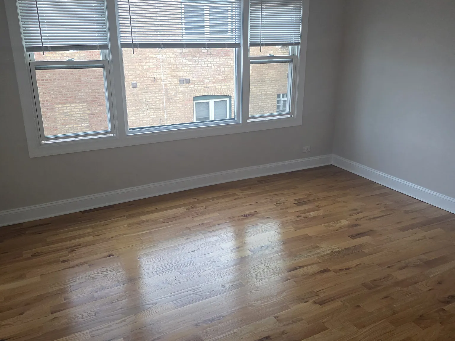 1 bed, 650 sqft, $1,500 — Photo 2