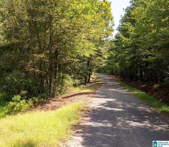 Toney Dr, Altoona, AL, 35952