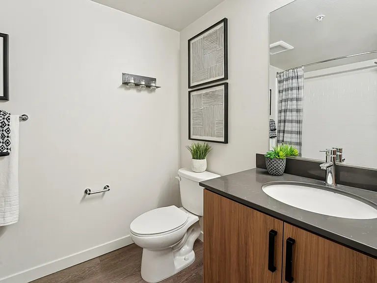 A clean and contemporary bathroom that feels like your own personal spa.