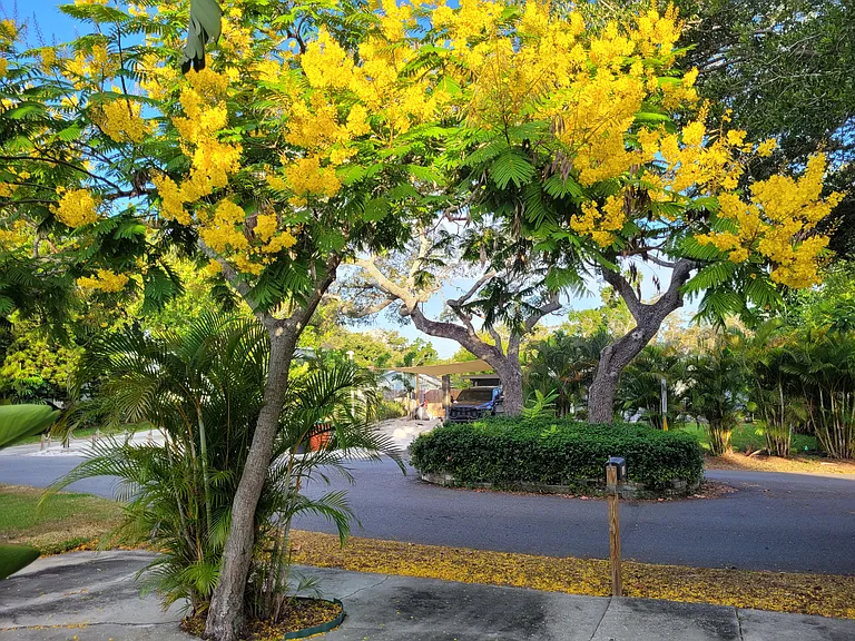 Street view with island