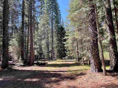 2 Crestview Cir #B, McCloud, CA, 96057