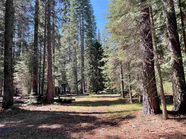 2 Crestview Cir #B, McCloud, CA 96057