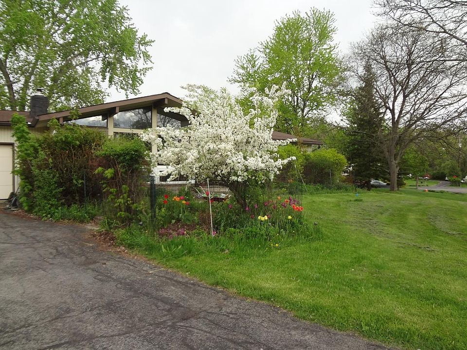 Front Garden view