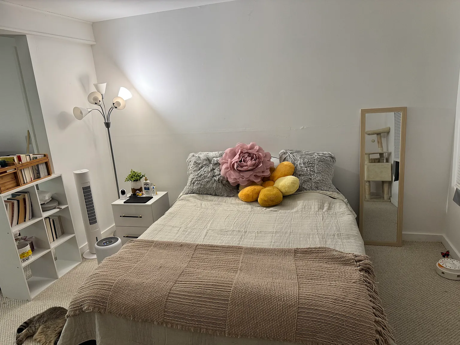 1 bed, 500 sqft, $1,550 — Photo 1