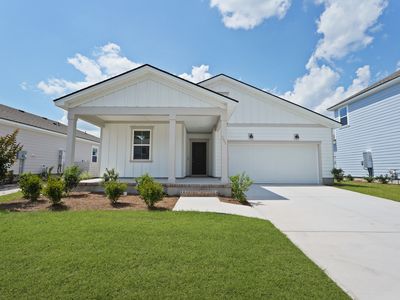 251 Shade Tree Dr, Richmond Hill, GA, 31324