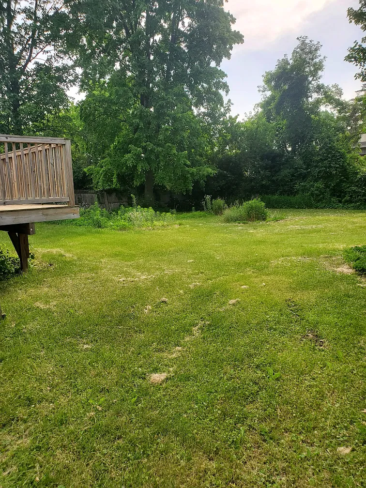 4 bed, $3,000 — Photo 4
