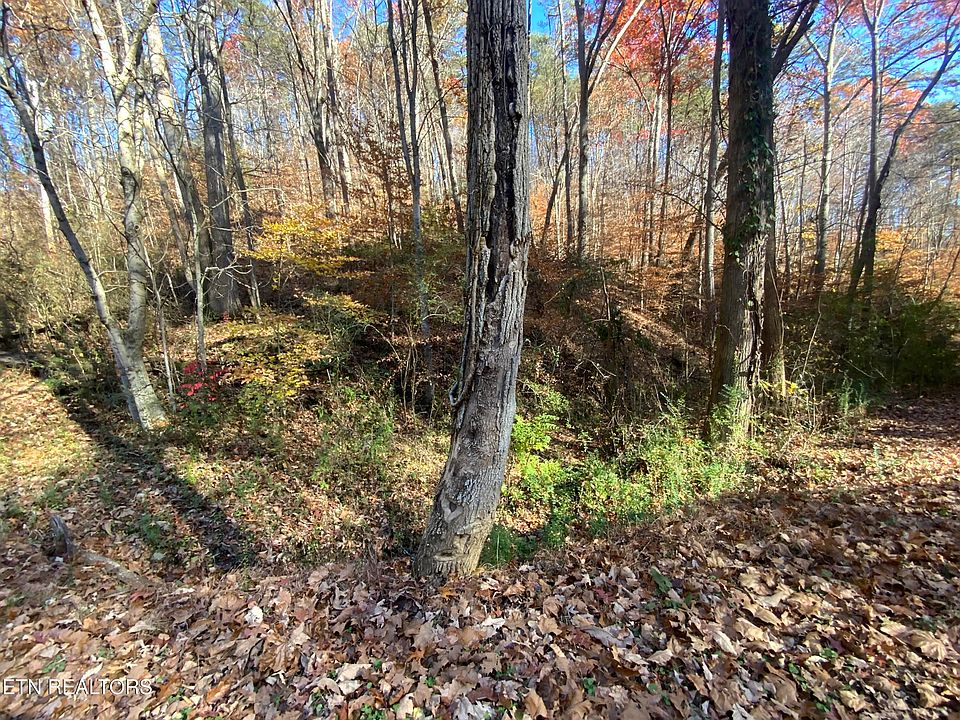 2nd image of Mountain Side Ln