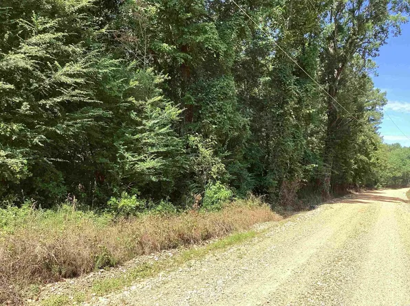 0 Hempstead #24, Blevins, AR 71825