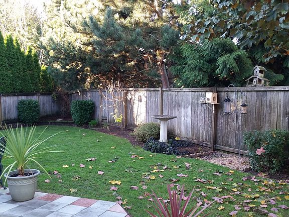Landscaped yard