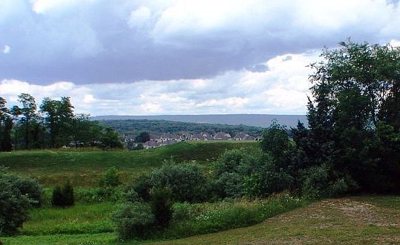 Panoramic View