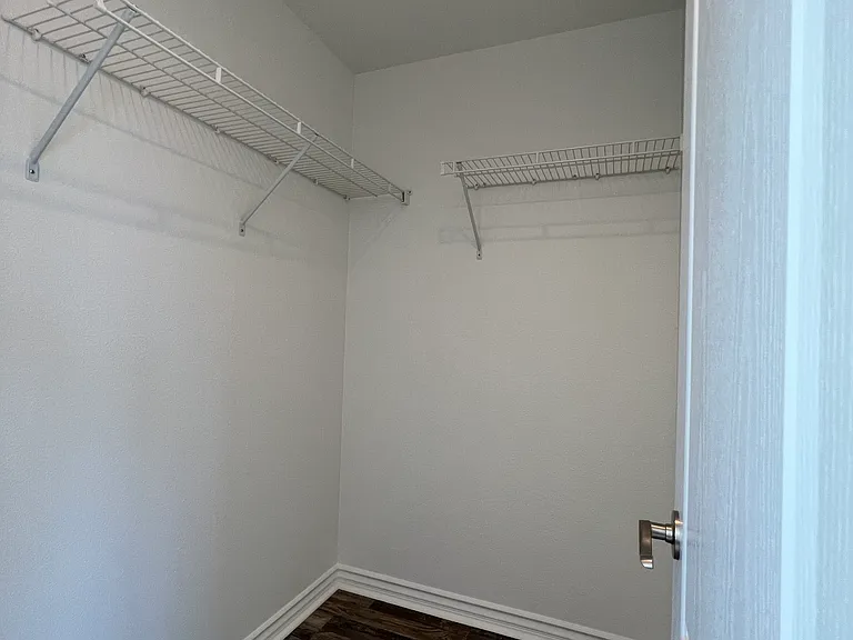 Primary bath's walk-in closet
