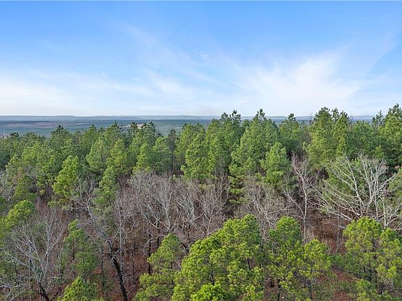 2nd image of 139 Evergreen Vista Loop Lot 139