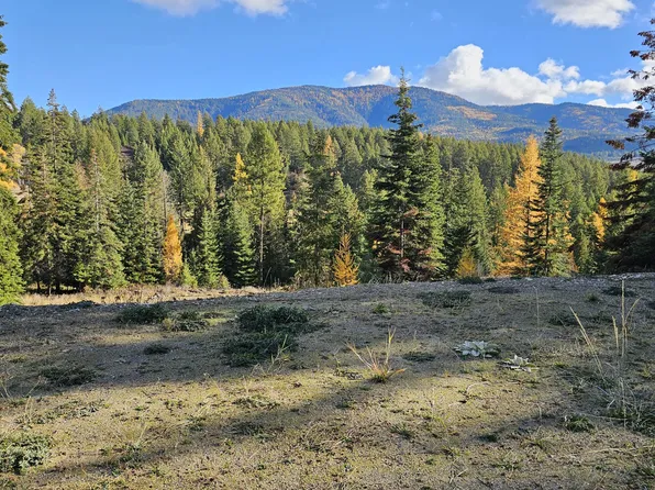 717C Finley Gulch Rd, Colville, WA 99114