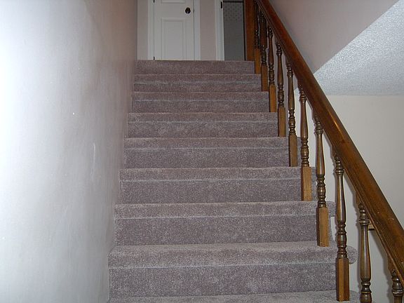 NEW CARPET