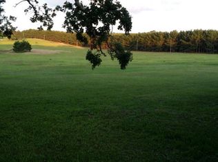 1540 Acr 1208, Grapeland, TX 75844