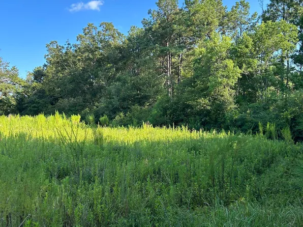 0 Quinley Rd, Bay Minette, AL 36507