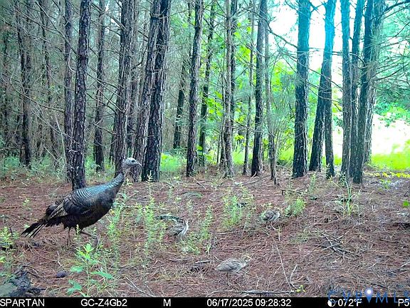 4th image of 32082 Sparta Rd