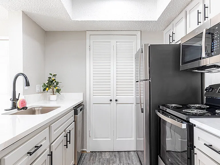 A1 - Designer Kitchen