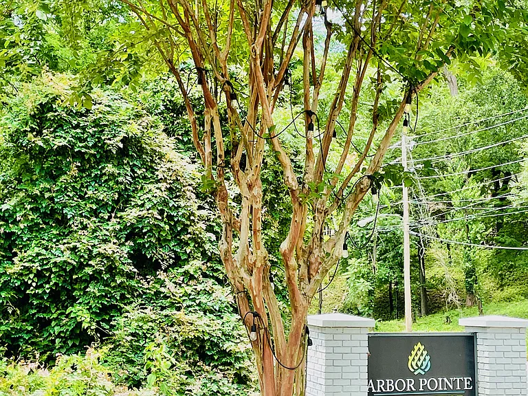 Arbor Pointe at Hillcrest — Photo 31