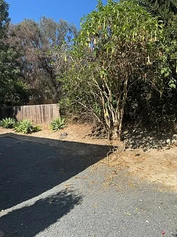 Dove St — Photo 11