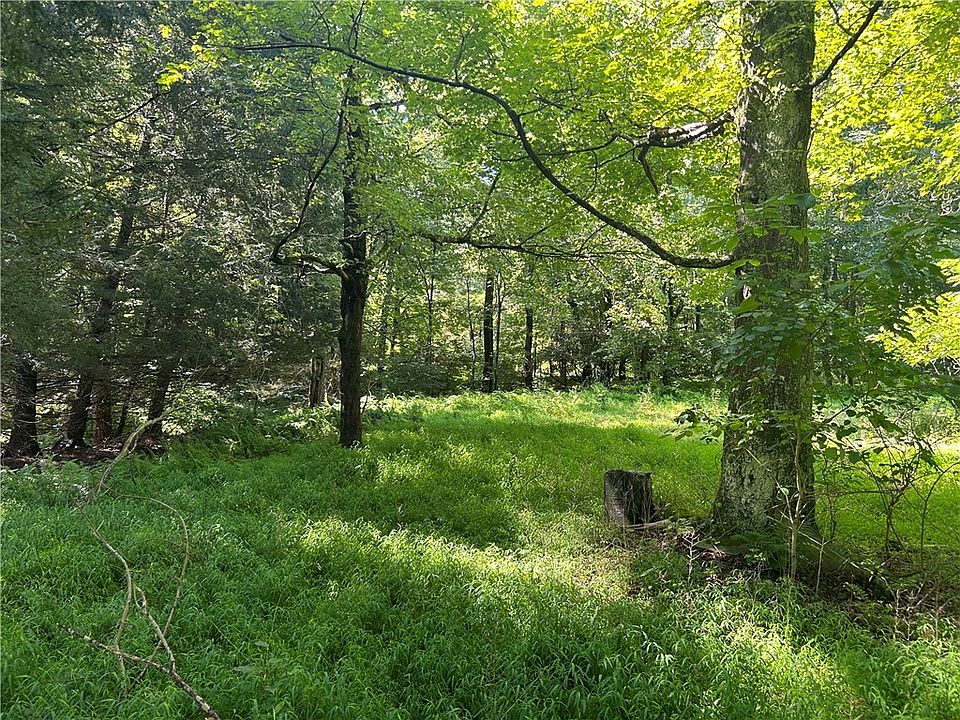 2nd image of 268 Mingo Rd