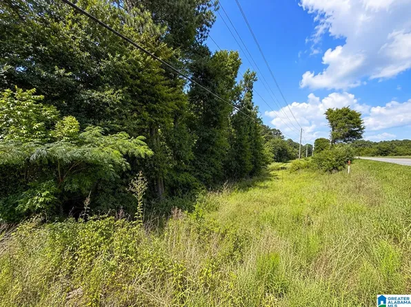 0 Highway 78 #0, Riverside, AL 35953