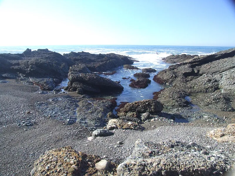 Thumbnail 14