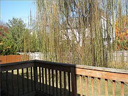 4th image of 7812 River Fork Dr