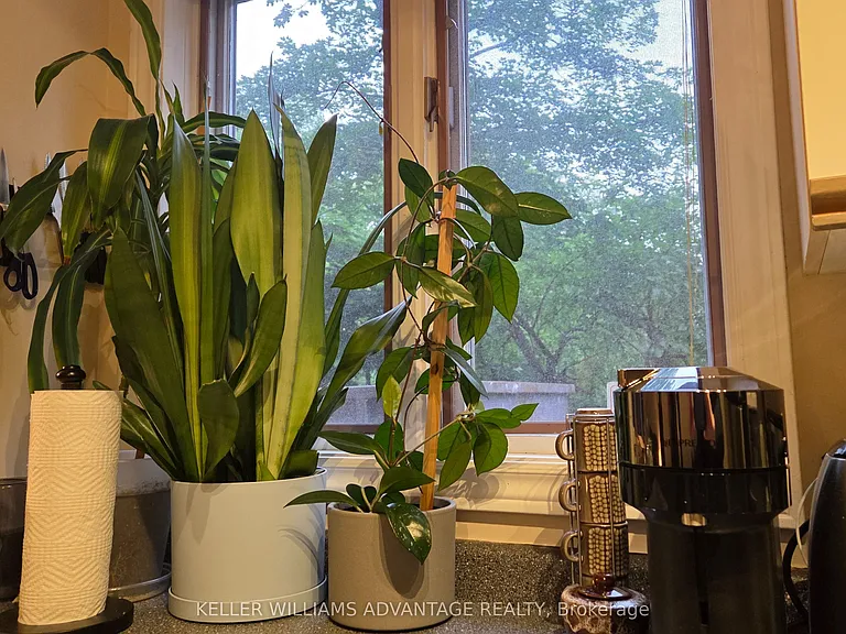 217 Saint George St #37 — Photo 7