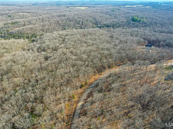 0 Oak Ridge Rd, Bonne Terre, MO 63628