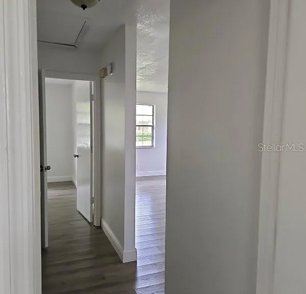 813 W Magnolia St — Photo 8